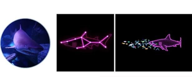 シロワニ…体を発光させながら、ゆったりと泳ぐ姿を描写