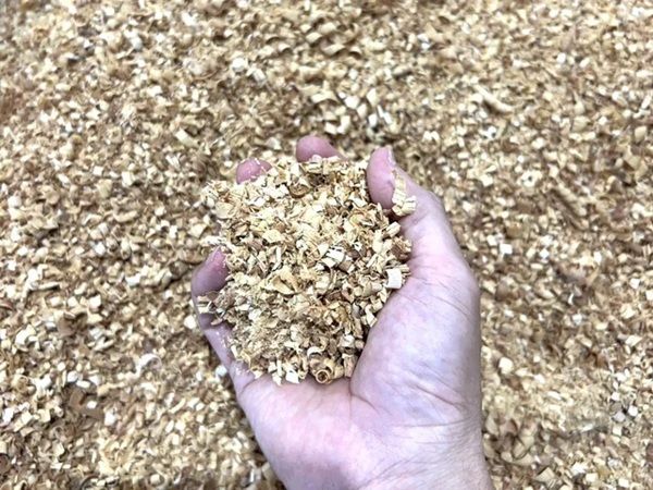 【石川県加賀市】「山中漆器」の工房・カフェ施設『工房 静寛』がリニューアル。職人直伝の漆器体験も