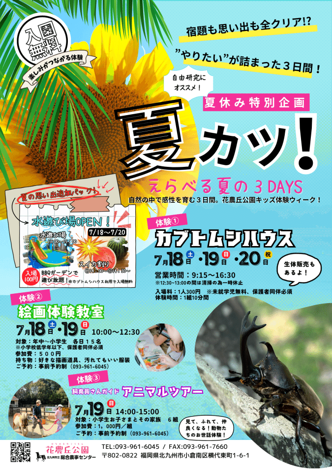 花農丘公園 夏カツ