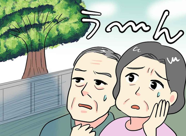画像: 「隣家の木が邪魔で家が売れない」ある交渉をした結果「感謝するよ！」さらに売却価格も跳ね上がったワケ