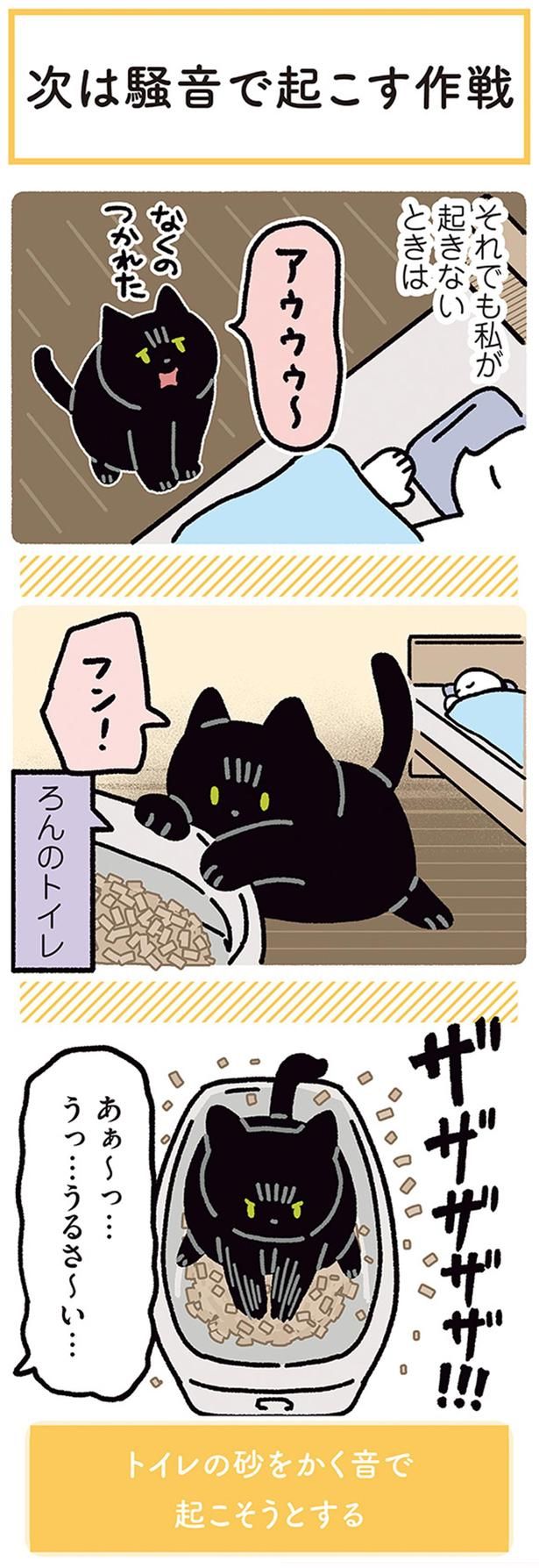 ザザザザザ！！！ （C）AKR／KADOKAWA