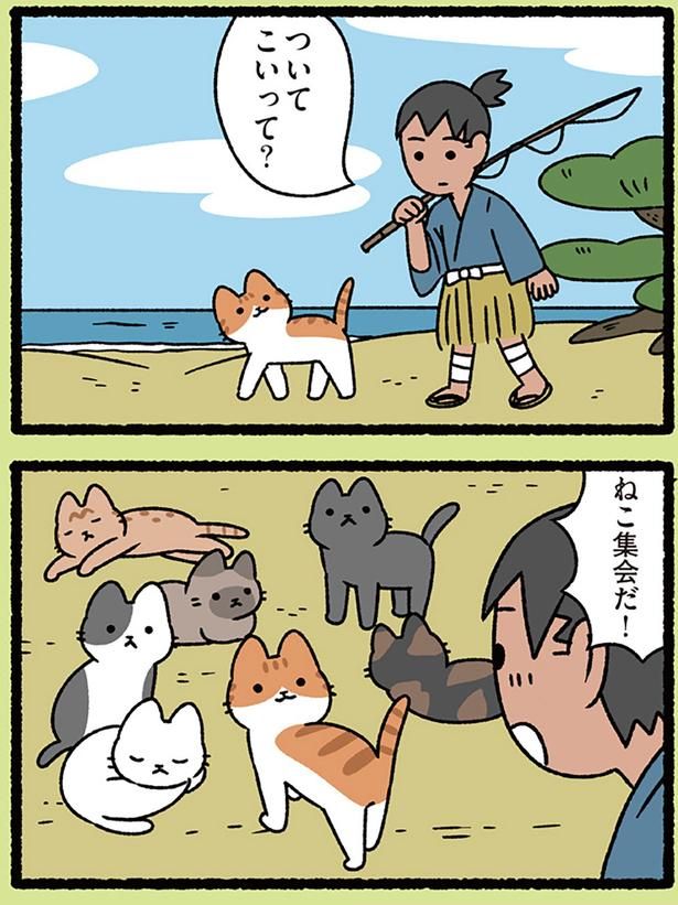 ついてこいって？ （C）ぱんだにあ／KADOKAWA