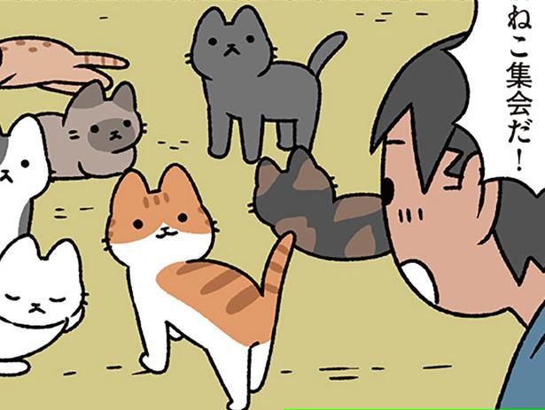 猫集会だ！ （C）ぱんだにあ／KADOKAWA