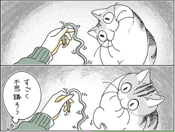 すごく不思議そう （C）キュルZ／KADOKAWA