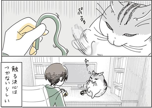 触らない （C）キュルZ／KADOKAWA