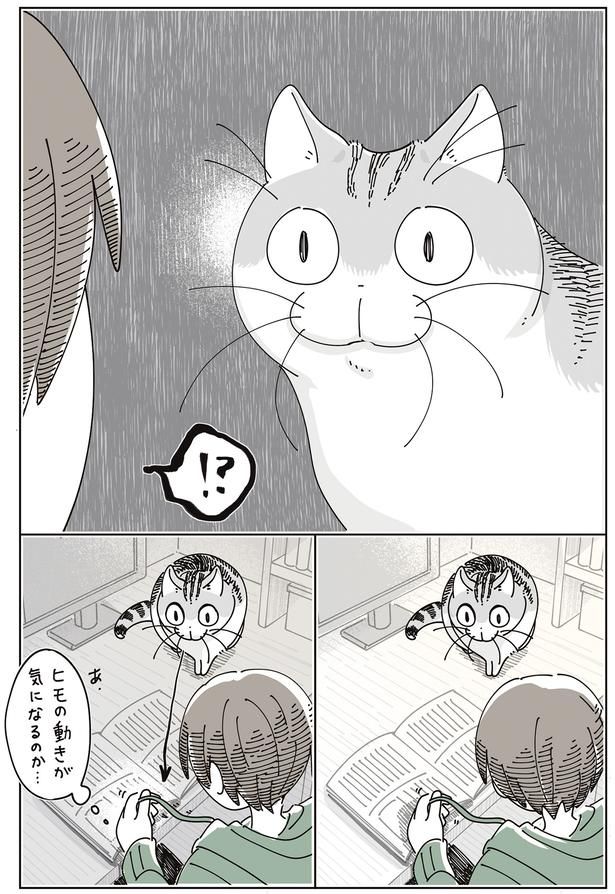 ヒモの動きがきになるのか （C）キュルZ／KADOKAWA