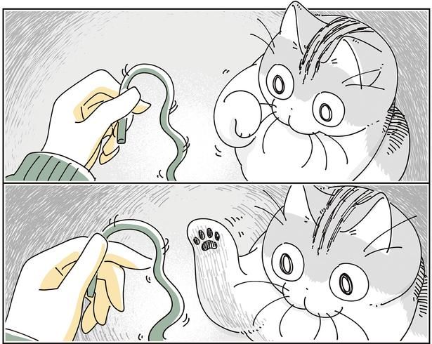触ると思いきや （C）キュルZ／KADOKAWA