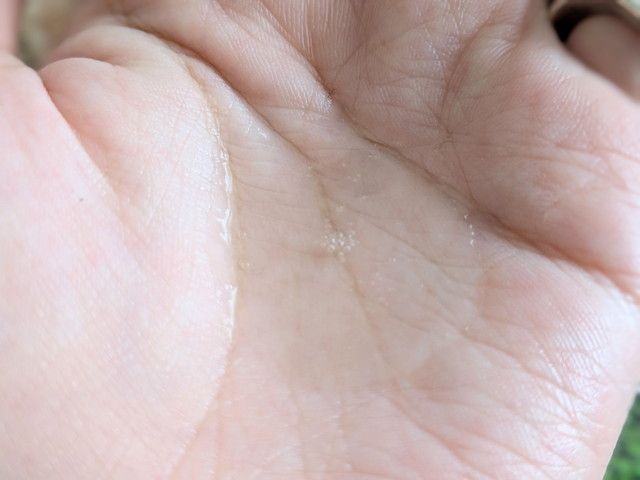 ミノン アミノモイスト エッセンス クレンジングオイルのテクスチャー