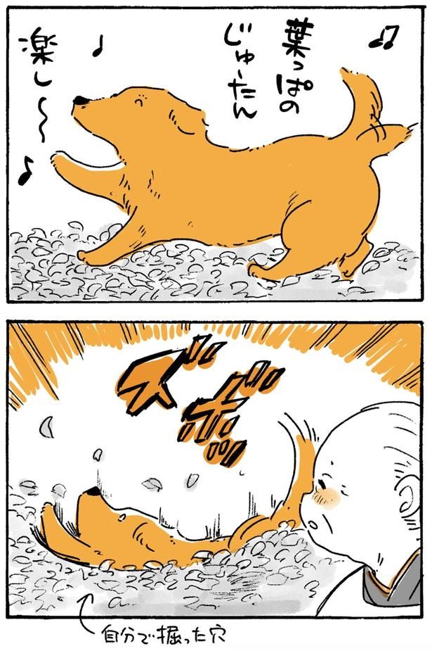 ズボッ （C）佐倉イサミ／KADOKAWA