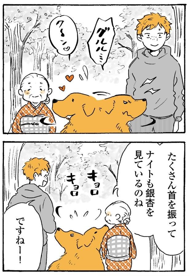 ナイトも銀杏を見ているのね （C）佐倉イサミ／KADOKAWA