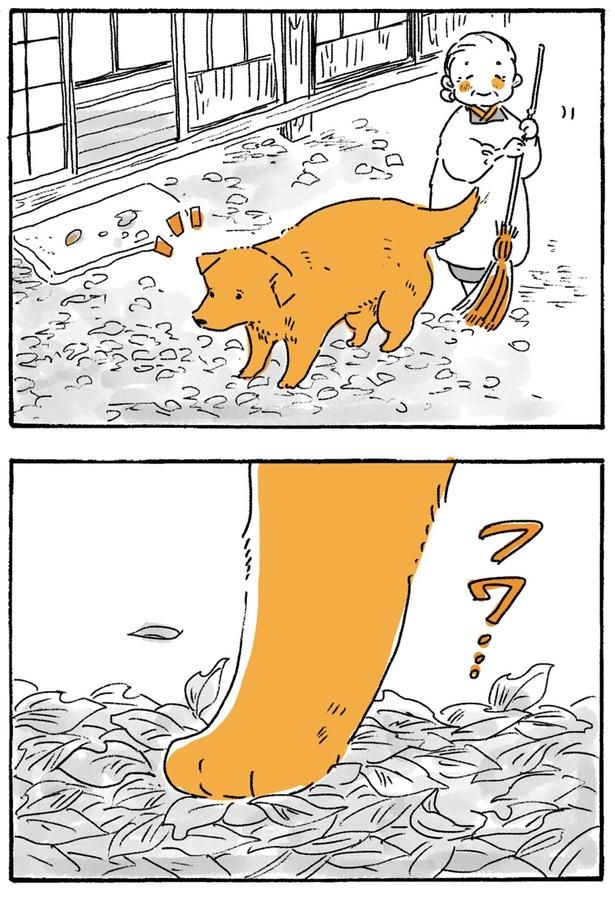 フワ… （C）佐倉イサミ／KADOKAWA