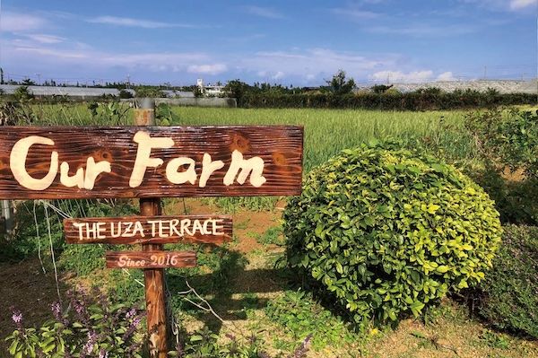 【沖縄県読谷村】ジ・ウザテラス ビーチクラブヴィラズが自家農園Our Farmの恵みを味わう収穫祭を開催