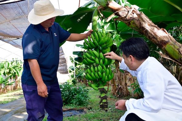 【沖縄県読谷村】ジ・ウザテラス ビーチクラブヴィラズが自家農園Our Farmの恵みを味わう収穫祭を開催