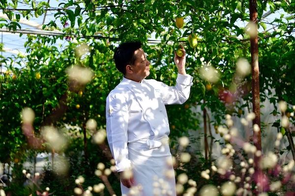 【沖縄県読谷村】ジ・ウザテラス ビーチクラブヴィラズが自家農園Our Farmの恵みを味わう収穫祭を開催