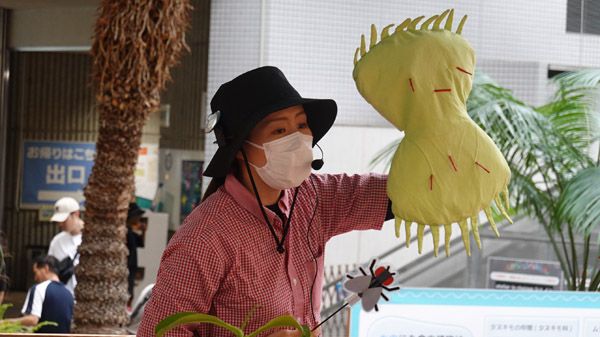 【大阪府大阪市】世界の食虫植物約100種類が集結する「虫を食べる植物展」開催！講座などの企画も