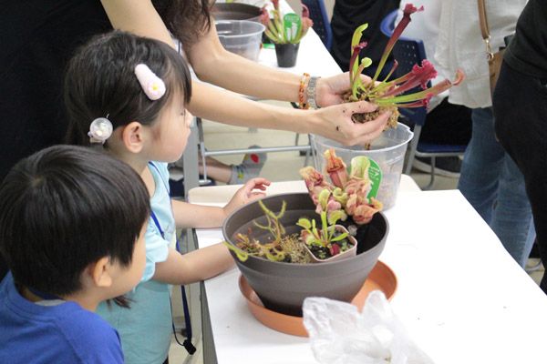 【大阪府大阪市】世界の食虫植物約100種類が集結する「虫を食べる植物展」開催！講座などの企画も