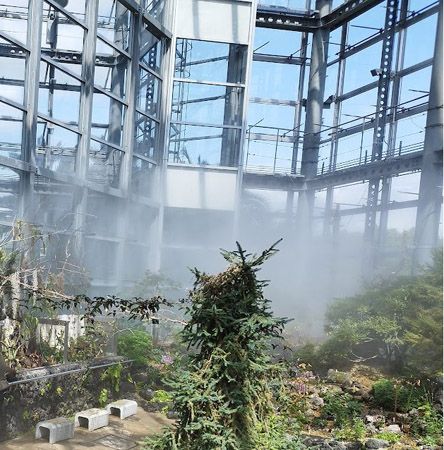 【大阪府大阪市】世界の食虫植物約100種類が集結する「虫を食べる植物展」開催！講座などの企画も