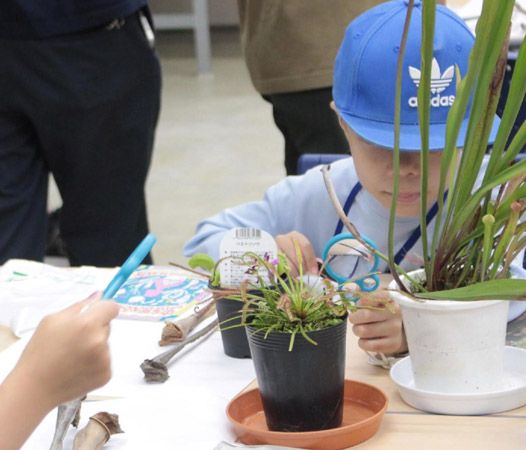 【大阪府大阪市】世界の食虫植物約100種類が集結する「虫を食べる植物展」開催！講座などの企画も