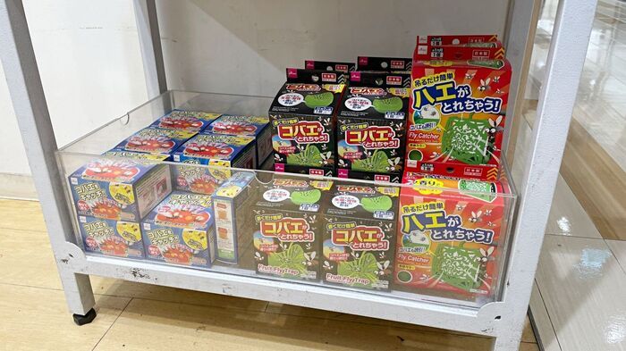 いや～な「コバエ」を退治するには？この時期に今すぐやっておくべき対策法