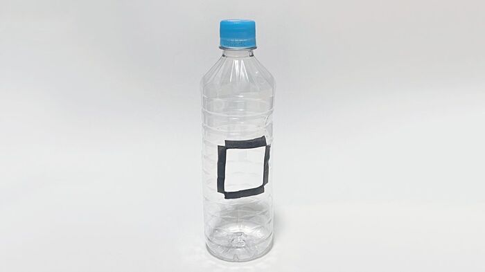 いや～な「コバエ」を退治するには？この時期に今すぐやっておくべき対策法