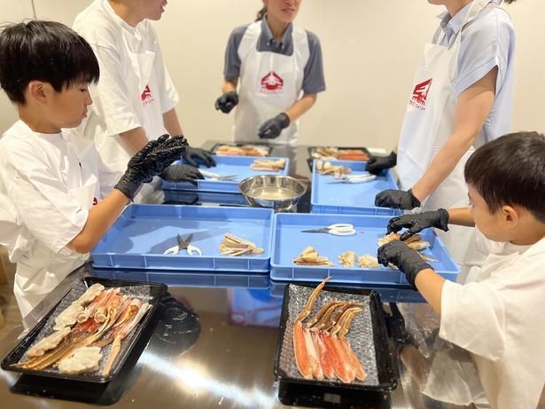 体験調理室では「ゆでずわい蟹むき体験」(初回無料、2回目以降は1人500円)と「カット生ずわい蟹づくり体験」(1人5000円※2026年8月末までは1人3000円)を実施(写真はイメージ) 【写真提供】株式会社伝食