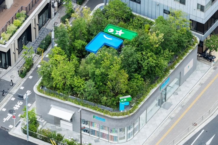 屋上の森