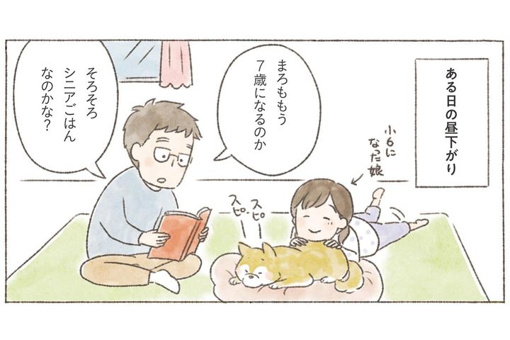愛犬が5歳を過ぎたら知っておきたい、フードの替えどき：7歳でも今のままでいいケースとは？