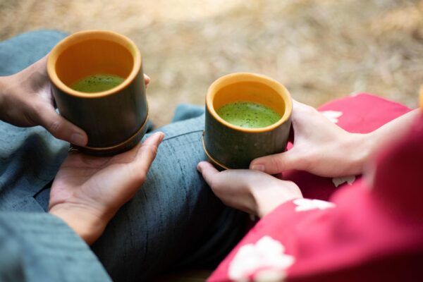【栃木県宇都宮市】竹林で神秘的な“雲海”を体験。竹林観光施設「若竹の杜 若山農場」リニューアルオープン