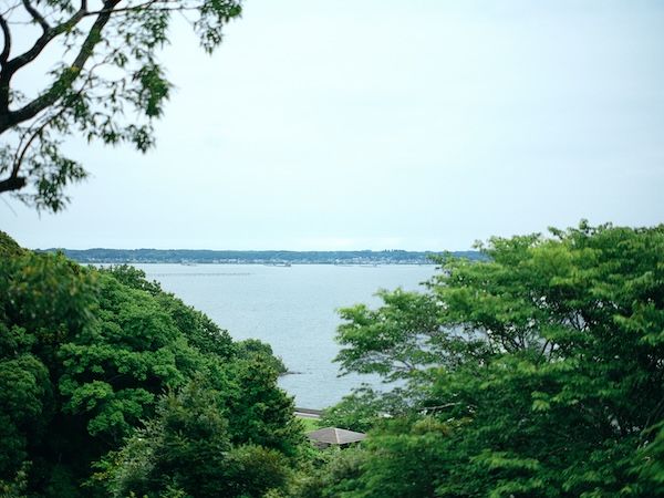 【茨城県かすみがうら市】霞ヶ浦を望む一棟貸しの宿「古民家江口屋」「水郷園」、家族向けの夏休みプランを提供