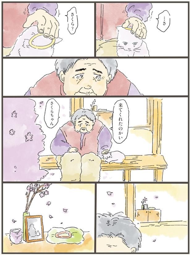 来てくれたのかい （C）中山有香里／KADOKAWA