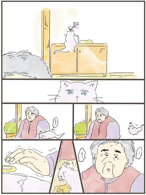 飼い主に擦り寄るさくら （C）中山有香里／KADOKAWA