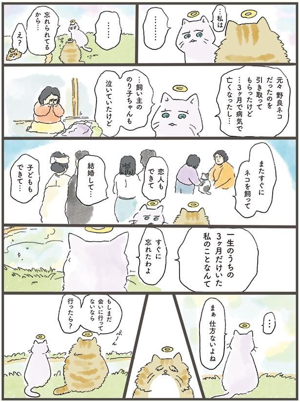 忘れられてるから… （C）中山有香里／KADOKAWA