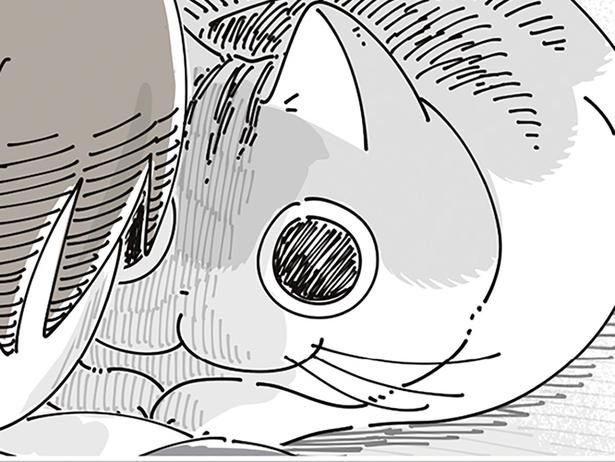 激近なのに… （C）キュルZ／KADOKAWA