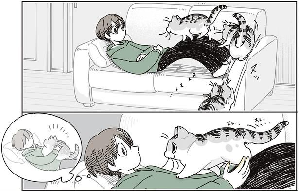 お腹の上に （C）キュルZ／KADOKAWA