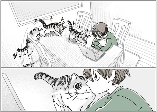 顔の前に （C）キュルZ／KADOKAWA
