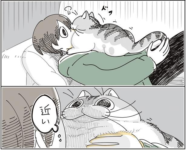 近い… （C）キュルZ／KADOKAWA