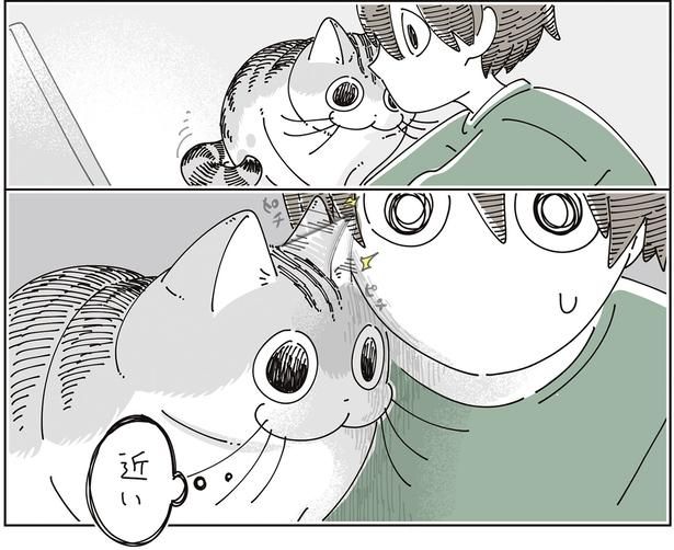 近い （C）キュルZ／KADOKAWA