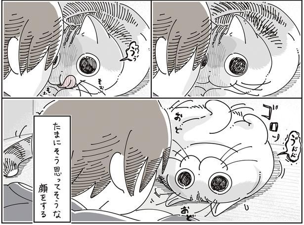 たまにそう思ってそう （C）キュルZ／KADOKAWA