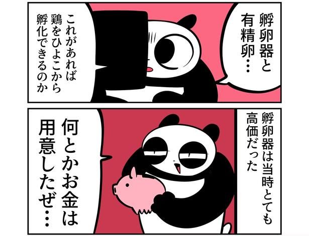  第4回より。親に内緒で鶏の孵卵器を購入して孵化に挑戦した過去も…。