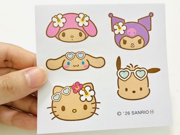 【40代・50代】サンリオキャラクターたちが
