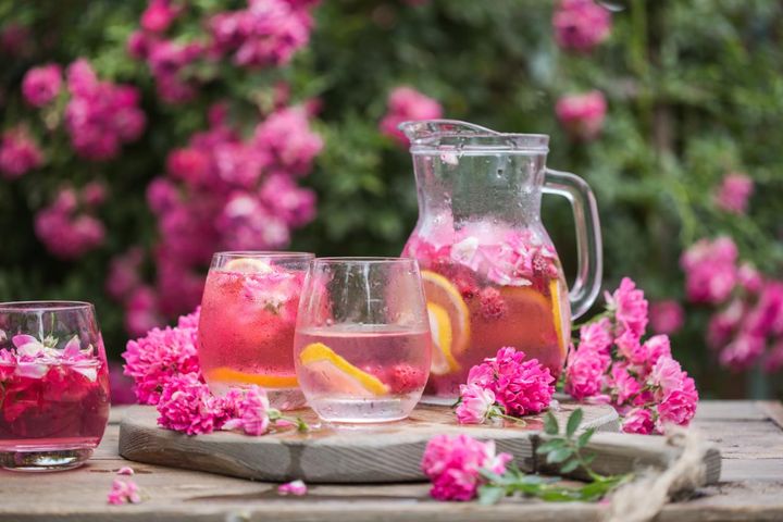 夏のバラが急に元気がない…それは夏バテ？生理現象？見分け方と負担を減らす育て方