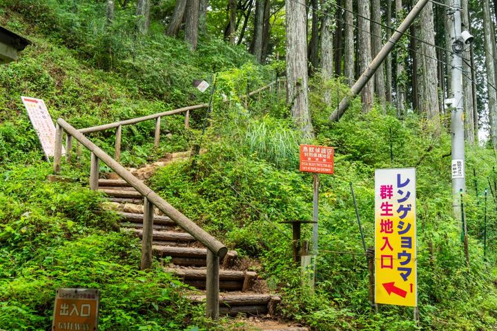 御岳山
