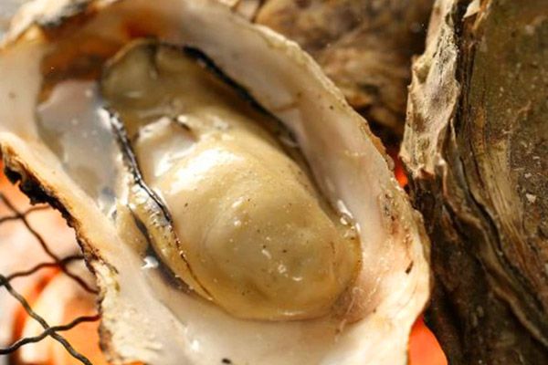 【宮城県松島町】水遊びゾーンがパワーアップ「第3回松島サマーフェスティバル」で夏休みを満喫しよう
