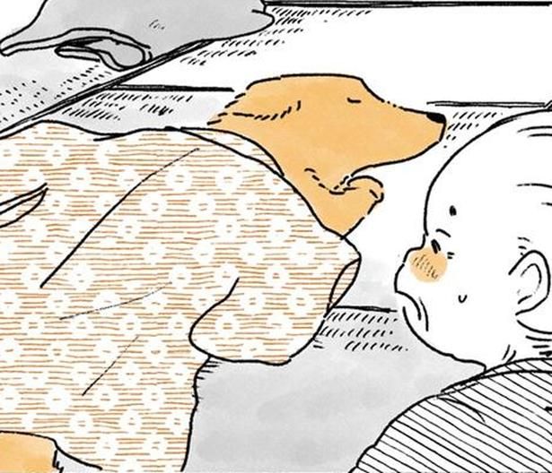 着物にくるまるレトリバー （C）佐倉イサミ／KADOKAWA