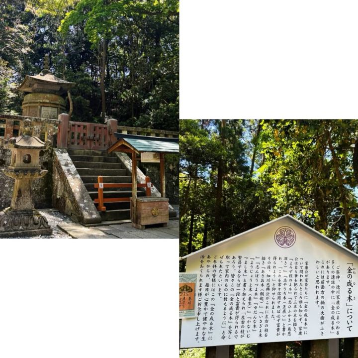 徳川家康お墓