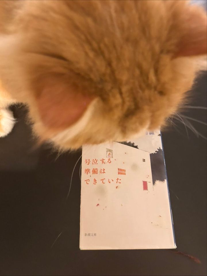 STANFORD所属のモデル・田澤明日香の好きなもの②読書