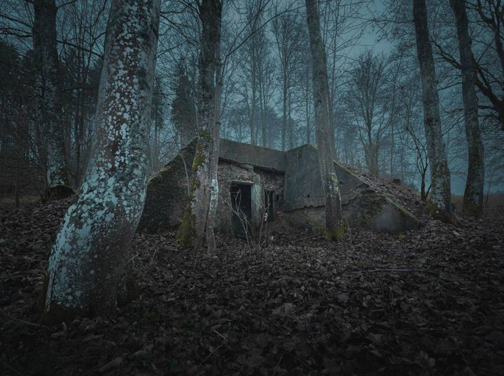 木々に囲まれた林の中に残る、古いコンクリート建物