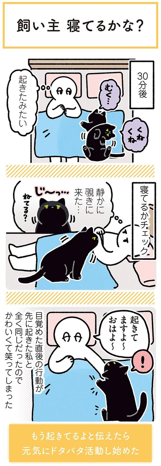 静かに覗きに来た… （C）AKR／KADOKAWA