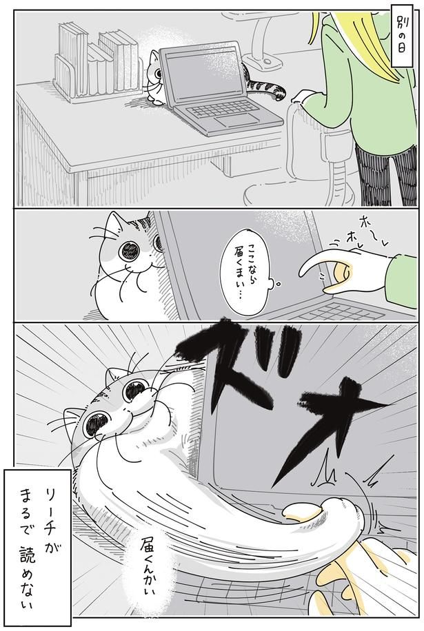 読めない （C）キュルZ／KADOKAWA