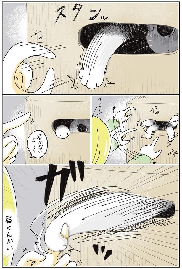 届くんかい （C）キュルZ／KADOKAWA